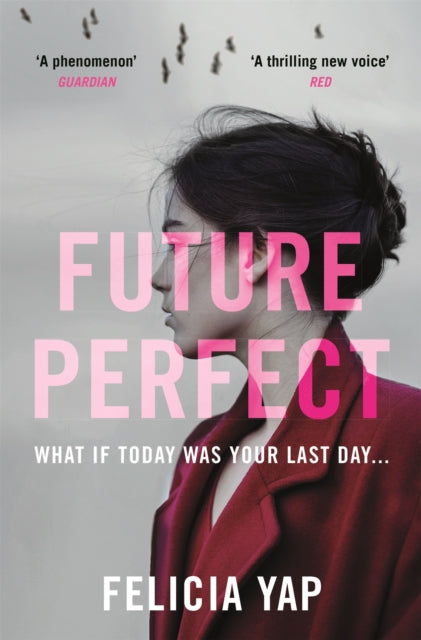 Future Perfect - The Most Exciting High-Concept Novel of the Year