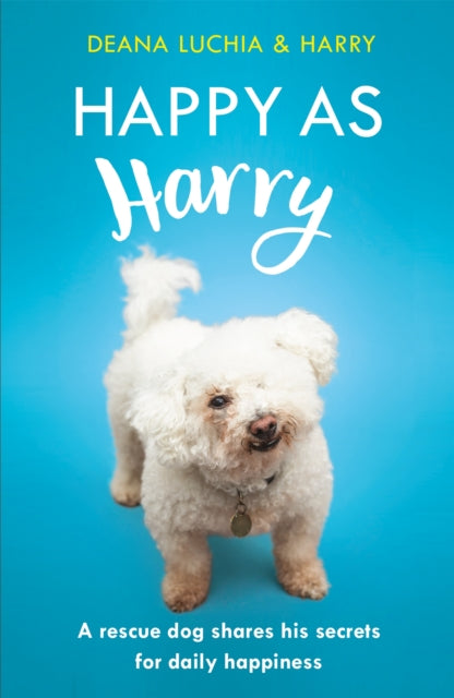 Happy as Harry - A rescue dog shares his secrets for daily happiness