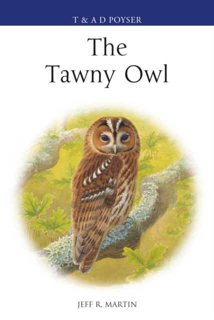 Tawny Owl