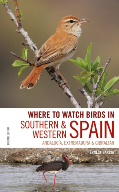 Where to Watch Birds in Southern and Western Spain