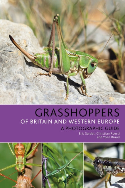 Grasshoppers of Britain and Western Europe - A Photographic Guide