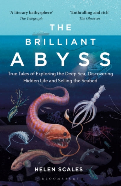Brilliant Abyss