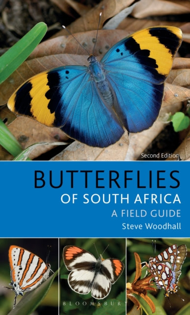 Field Guide to Butterflies of South Africa