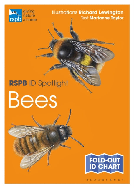 RSPB ID Spotlight - Bees