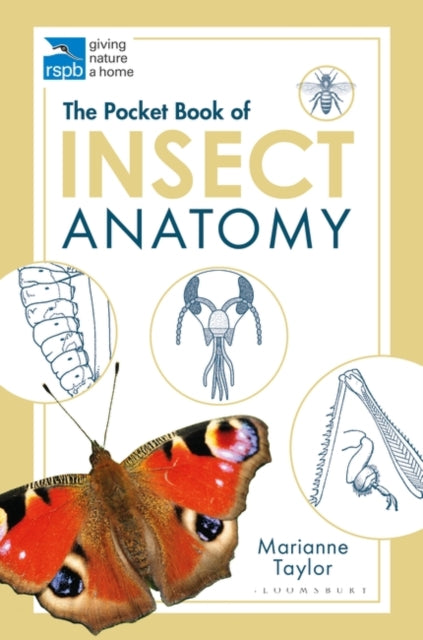 Pocket Book of Insect Anatomy