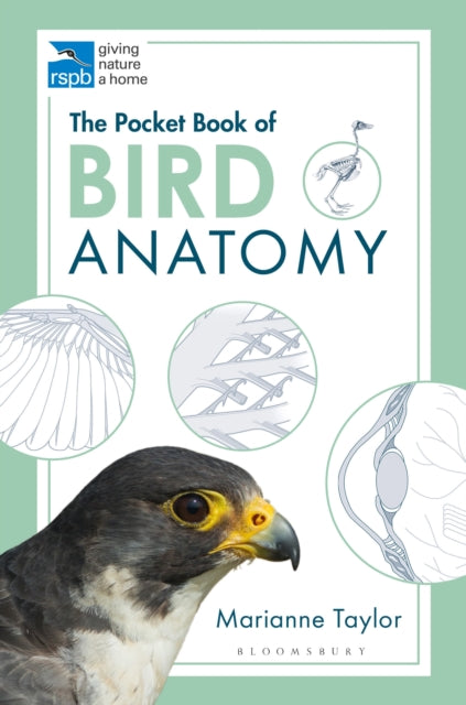 Pocket Book of Bird Anatomy