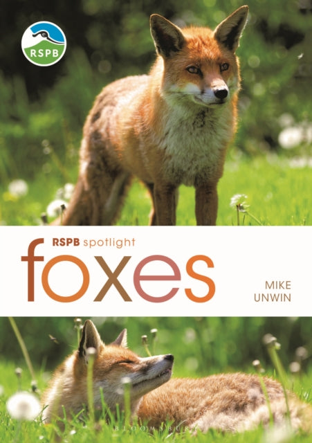 RSPB SPOTLIGHT: FOXES