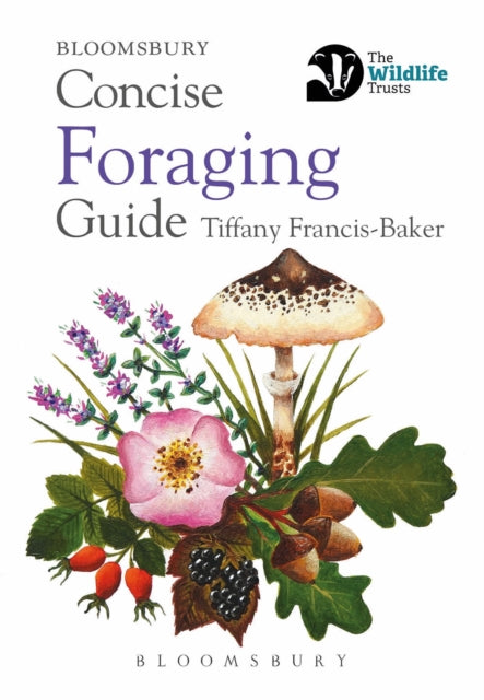 Concise Foraging Guide