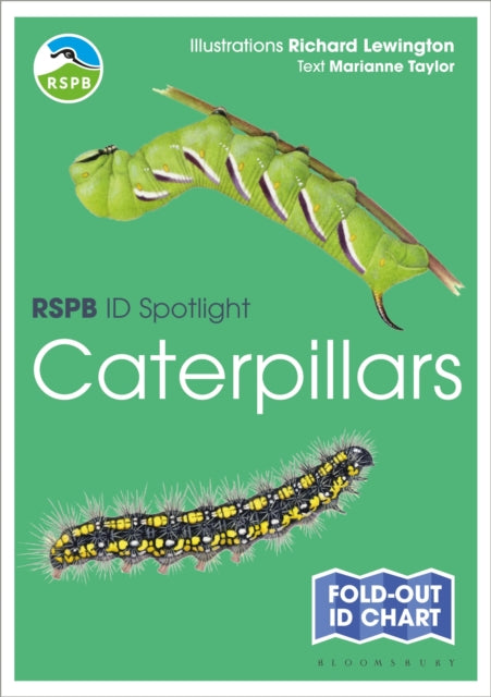 RSPB ID Spotlight - Caterpillars