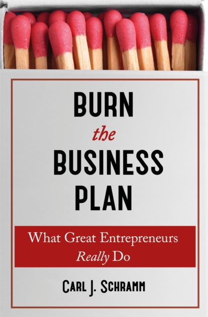 Burn The Business Plan - What Great Entrepreneurs Really Do