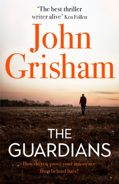 The Guardians - The Sunday Times Bestseller