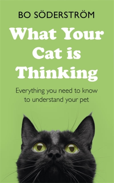 What Your Cat Is Thinking - Everything you need to know to understand your pet