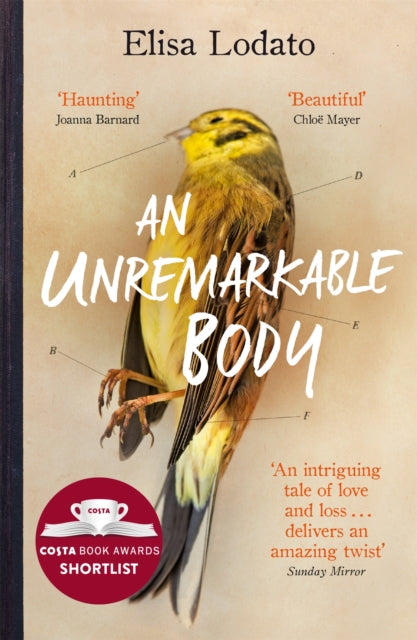 Unremarkable Body