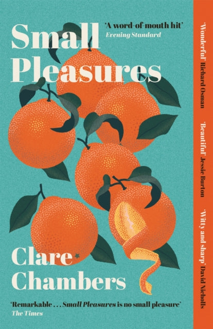 Small Pleasures - Longlisted for the Women's Prize for Fiction 2021