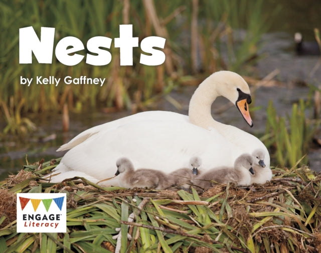 Nests