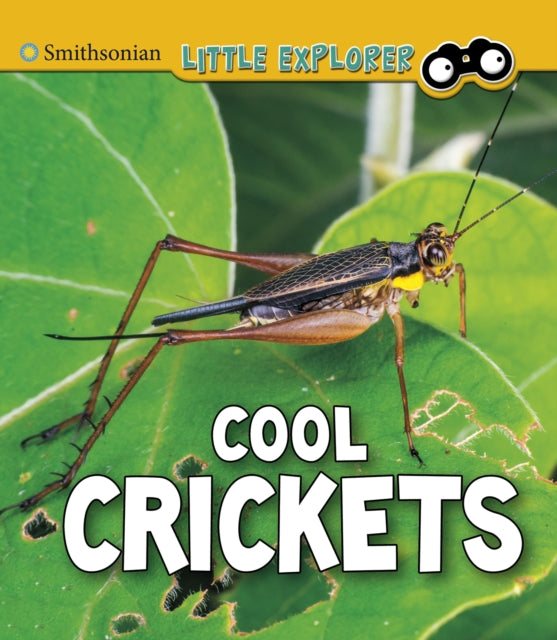 Cool Crickets