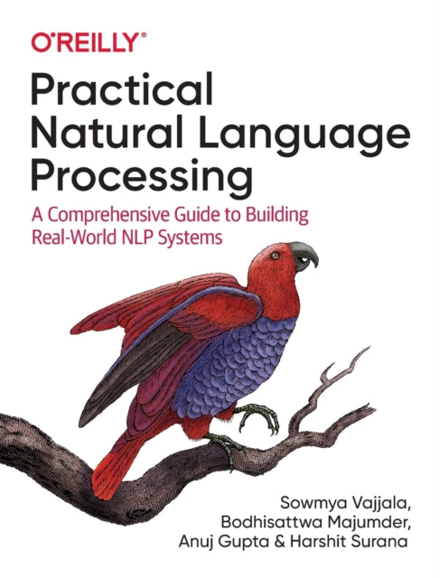 Practical Natural Language Processing