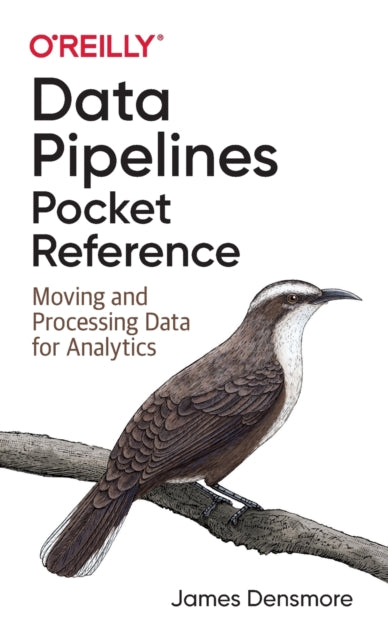 Data Pipelines Pocket Reference - Moving and Processing Data for Analytics