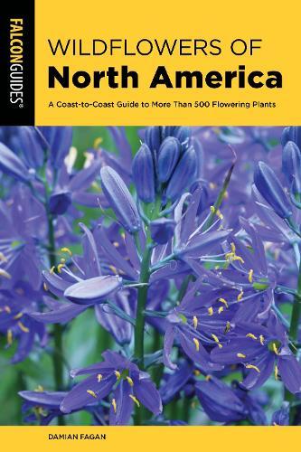 Wildflowers of North America