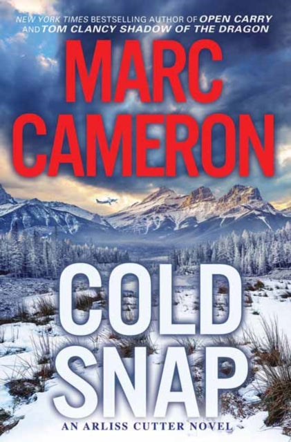 Cold Snap - An Action Packed Novel of Suspense