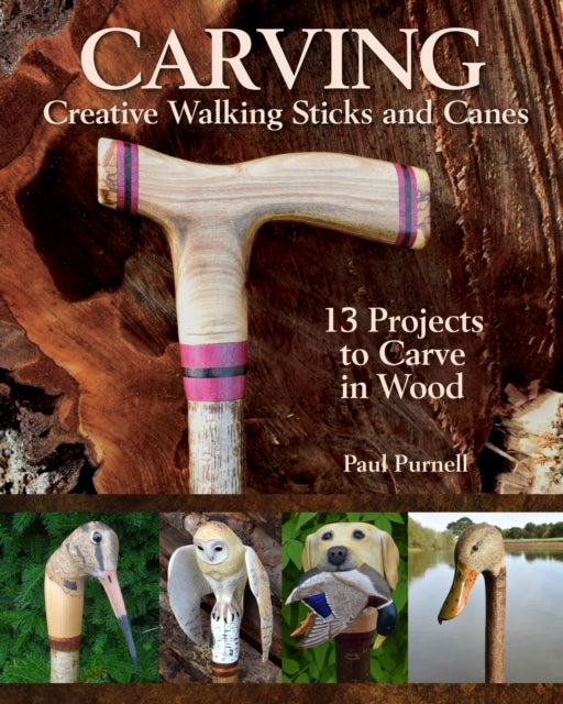 CARVING CREATIVE WALKING STICKS