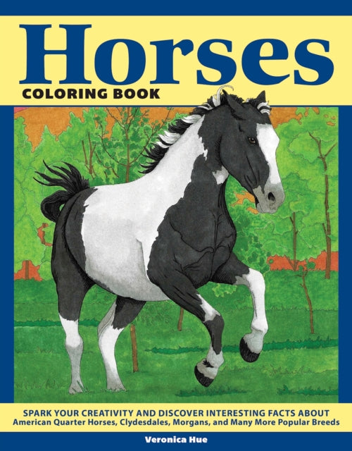 Horses Coloring Book