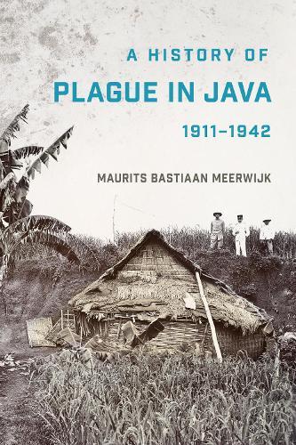 History of Plague in Java, 1911–1942