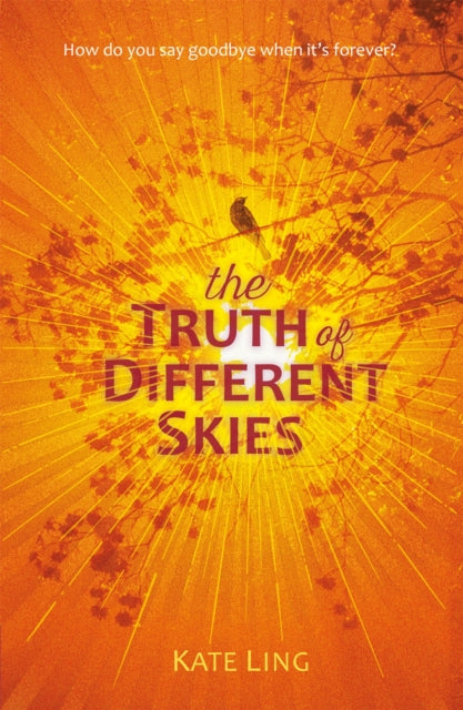 Ventura Saga: The Truth of Different Skies