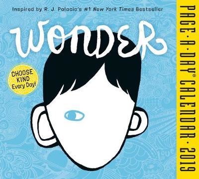 2019 Wonder Page-A-Day Calendar