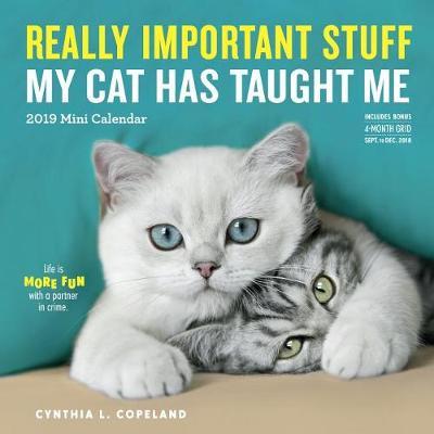 2019 Really Important Stuff My Cat Has Taught Me Mini Wall Calendar