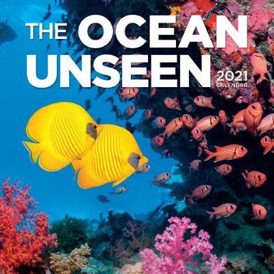 2021 Ocean Unseen Wall Calendar
