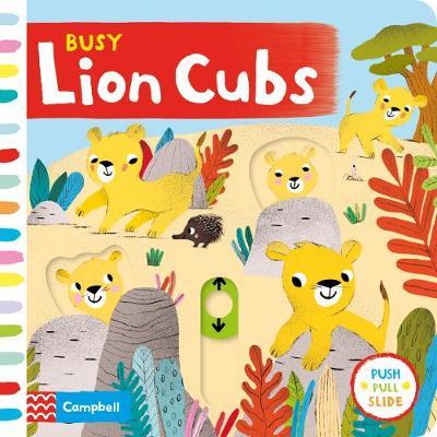 BUSY LION CUBS