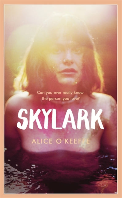 Skylark - The new novel from the author of ON THE UP