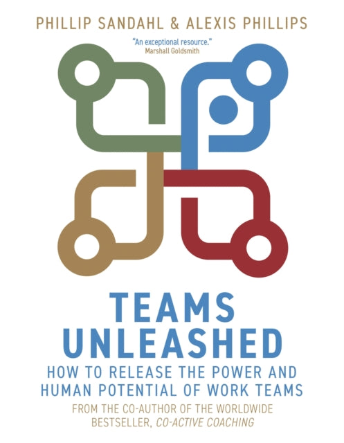 Teams Unleashed - How to Release the Power and Human Potential of Work Teams