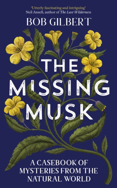 Missing Musk