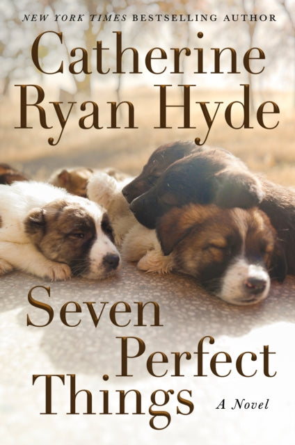 Seven Perfect Things - A Novel