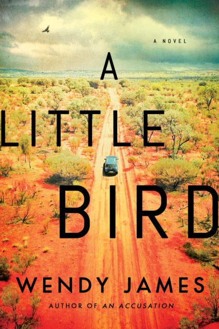 A Little Bird - A Novel