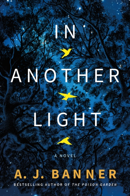 In Another Light - A Novel