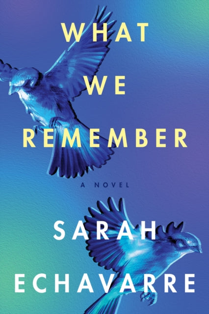 What We Remember - A Novel