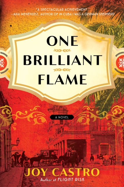 One Brilliant Flame - A Novel