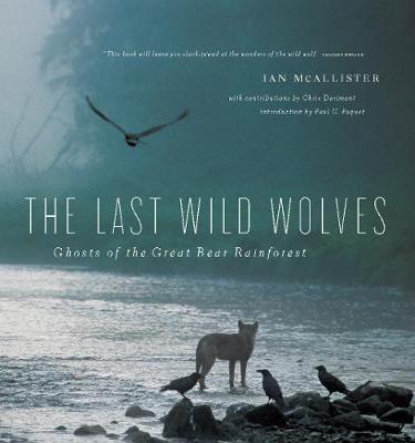 The Last Wild Wolves - Ghosts of the Rain Forest