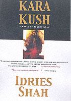 Kara Kush: A Novel of Afghanistan