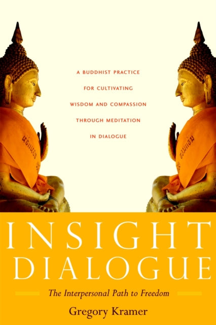 Insight Dialogue