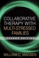 Collaborative Therapy with Multi-Stressed Families, Second Edition