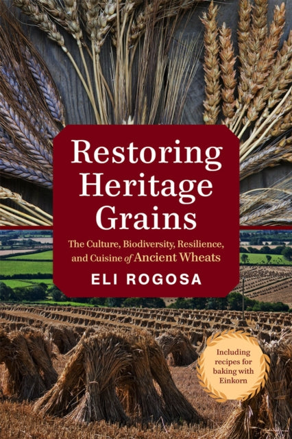Restoring Heritage Grains: The Culture, Diversity, and Resilience of Landrace Wheat