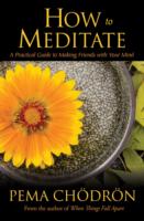 How to Meditate: A Practical Guide to Making Friends with Your Mind