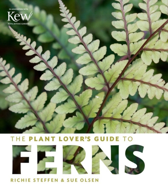 The Plant Lover's Guide to Ferns