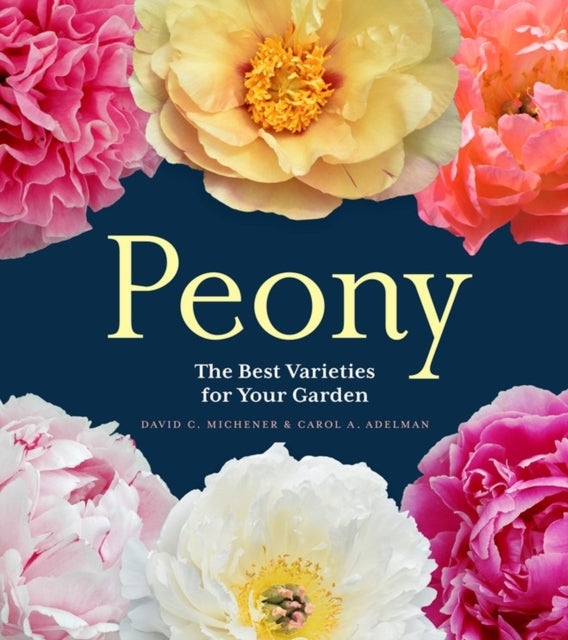 Peony-The Best Varieties for Your Garden