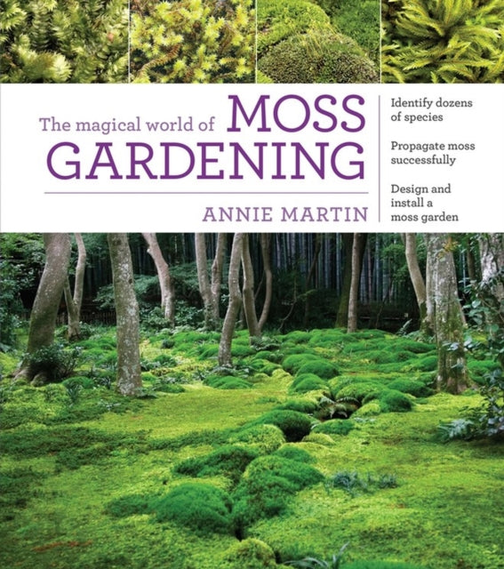 Magical World of Moss Gardening