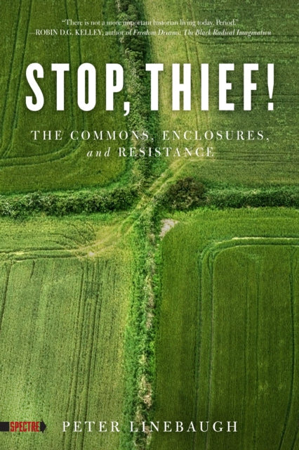 Stop, Thief!: The Commons, Enclosures, And Resistance